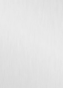 ALU BROSSE NATUREL N°001 305 X 130 8/10